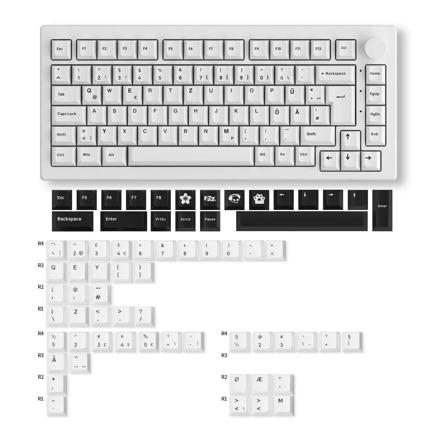 5075B Plus VIA ISO Mechanical Keyboard - Image 13