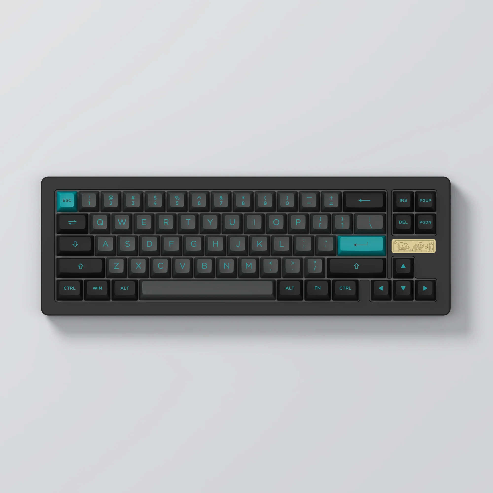 ACR Pro 68 Black & Cyan - Image 9