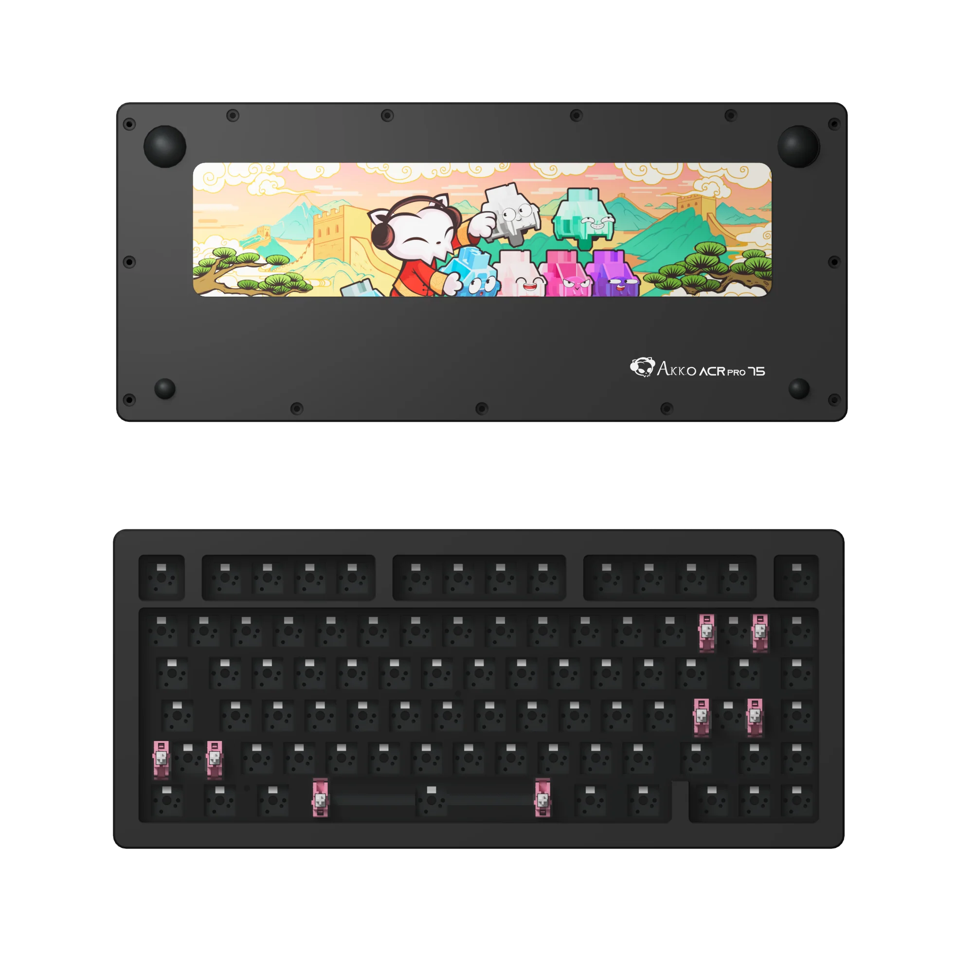 ACR Pro 75 DIY Kit - Image 8