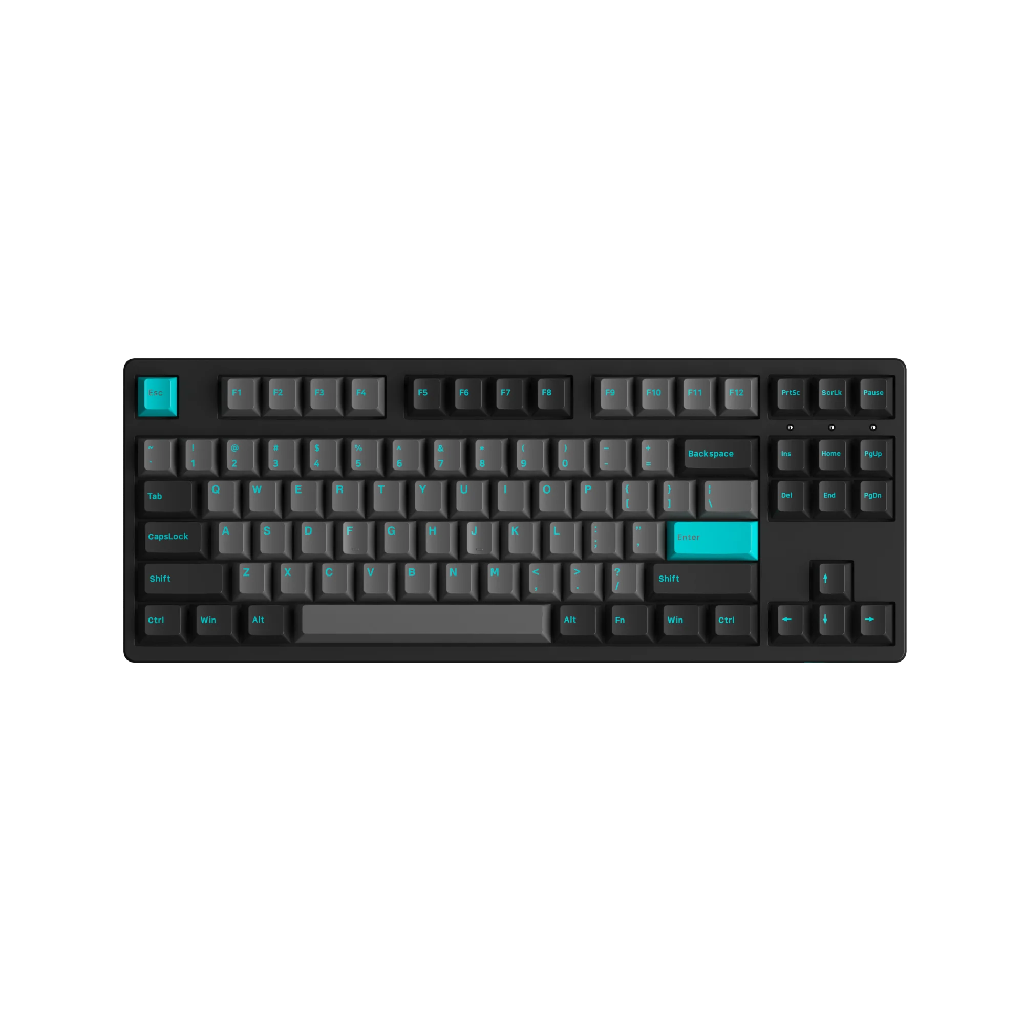 Black & Cyan 3087 Plus
