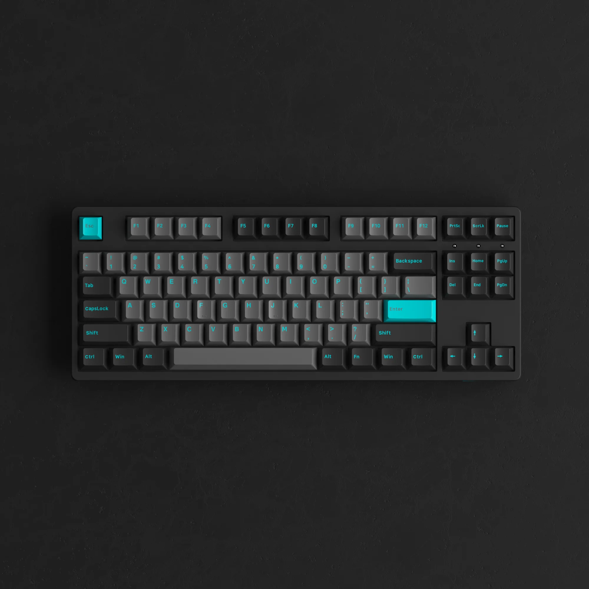 Black & Cyan 3087 Plus - Image 7