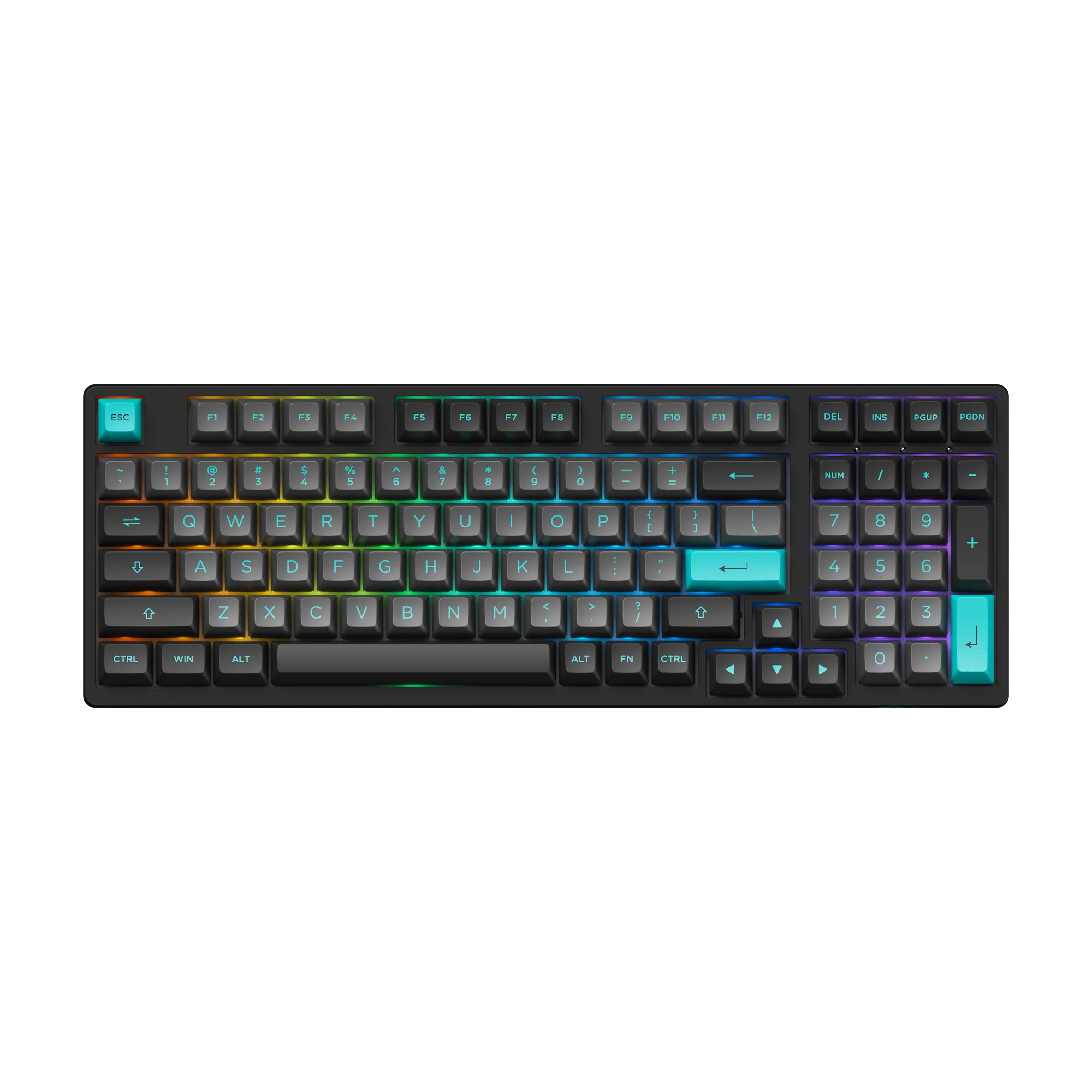 Black & Cyan 3098N