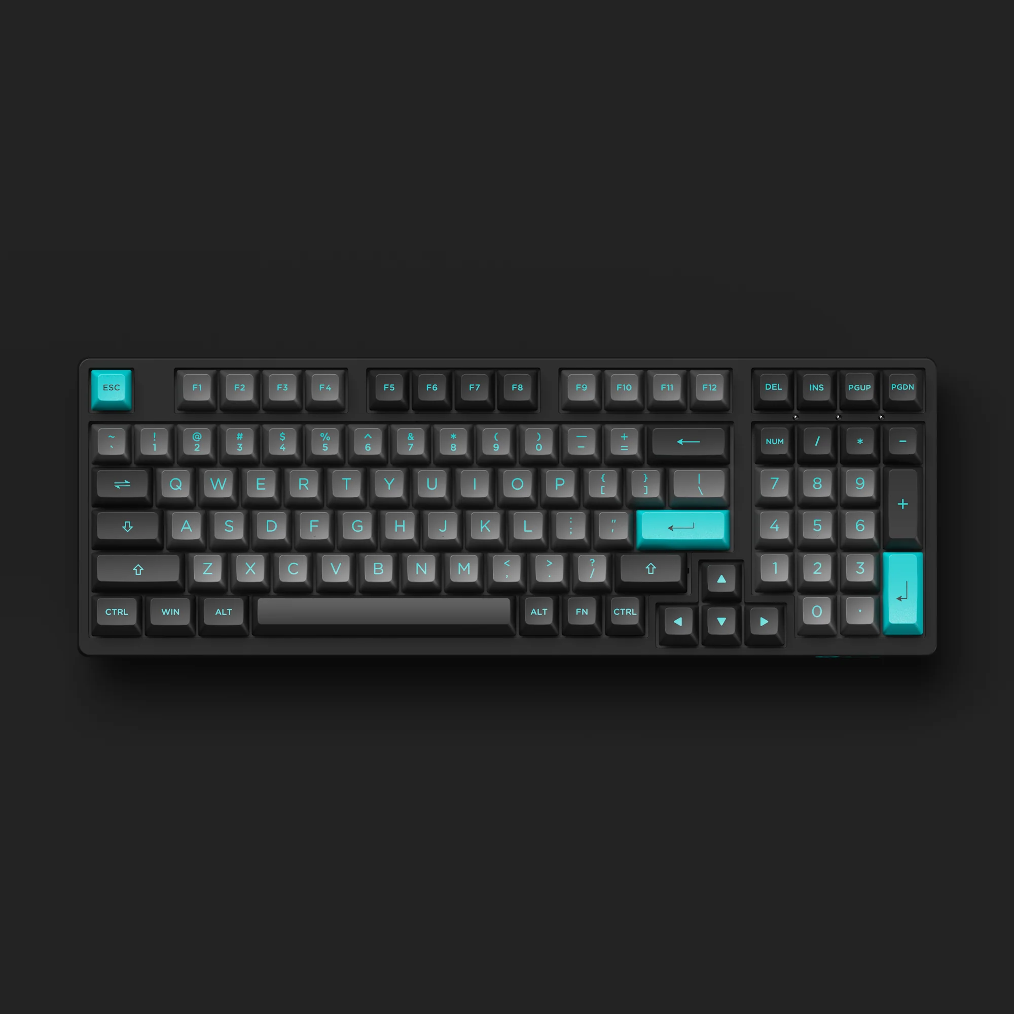 Black & Cyan 3098N - Image 7