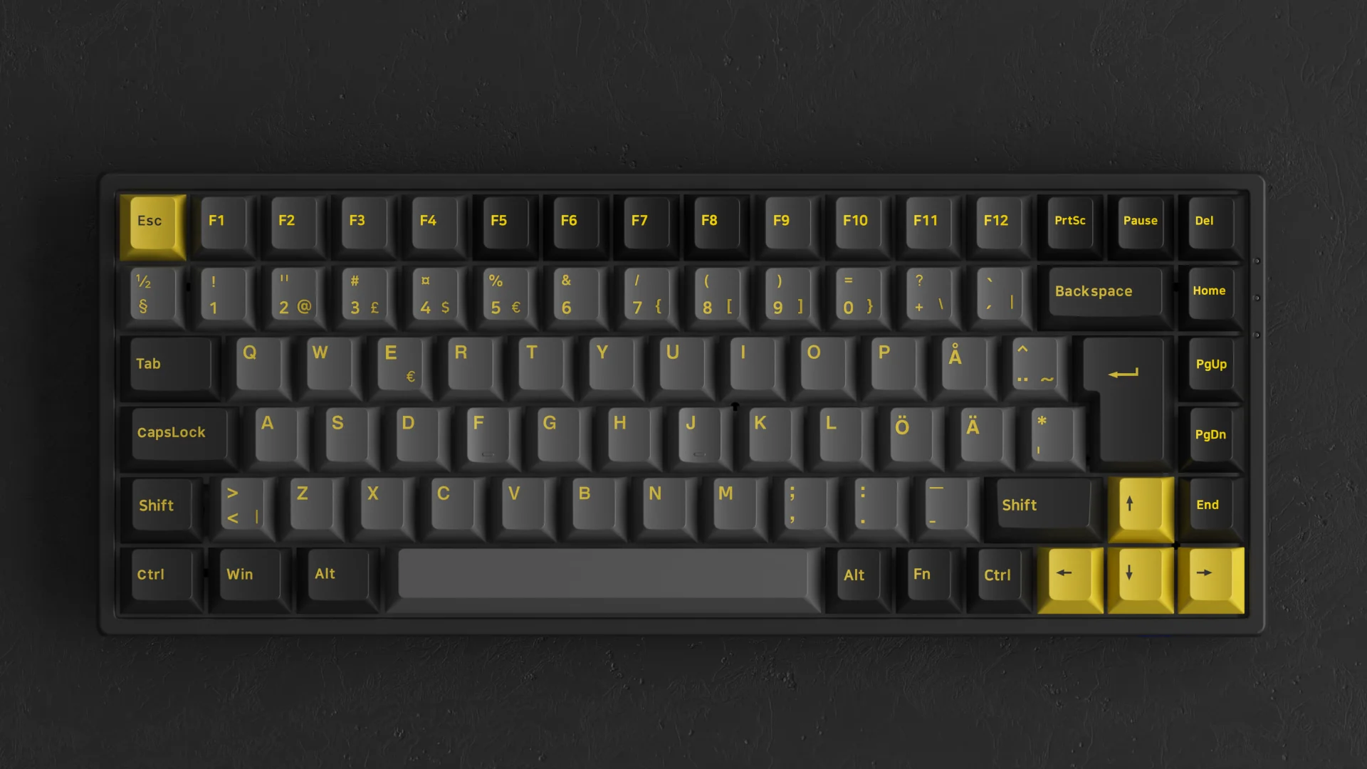 Black & Gold 3084B Plus ISO DE/Nordic - Image 4