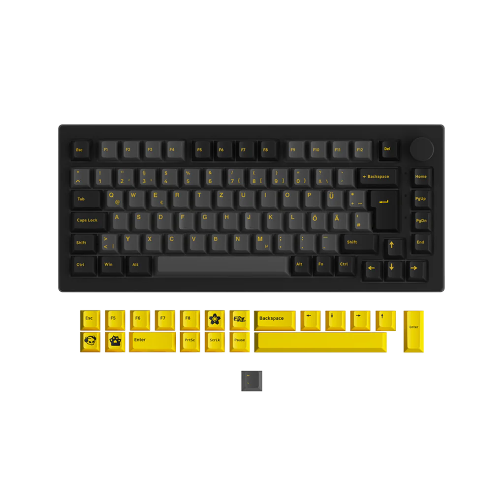 Black & Gold 5075S ISO - Image 11