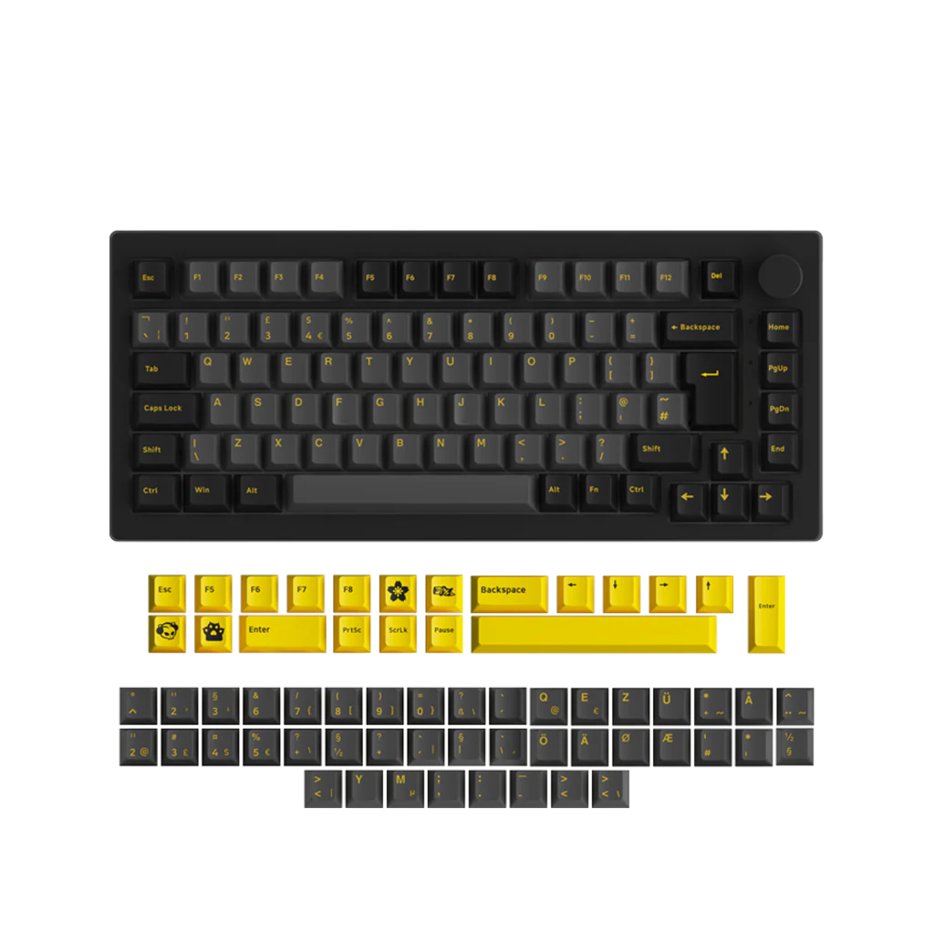Black & Gold 5075S ISO - Image 13