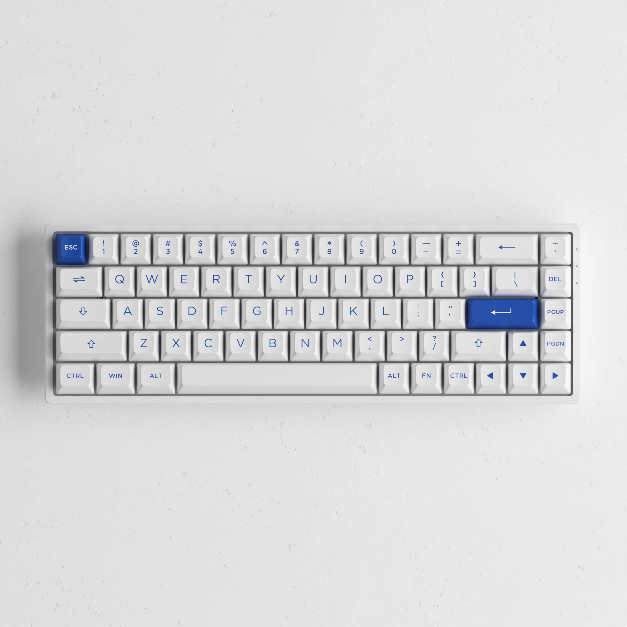 Blue on White 3068B Plus - Image 10