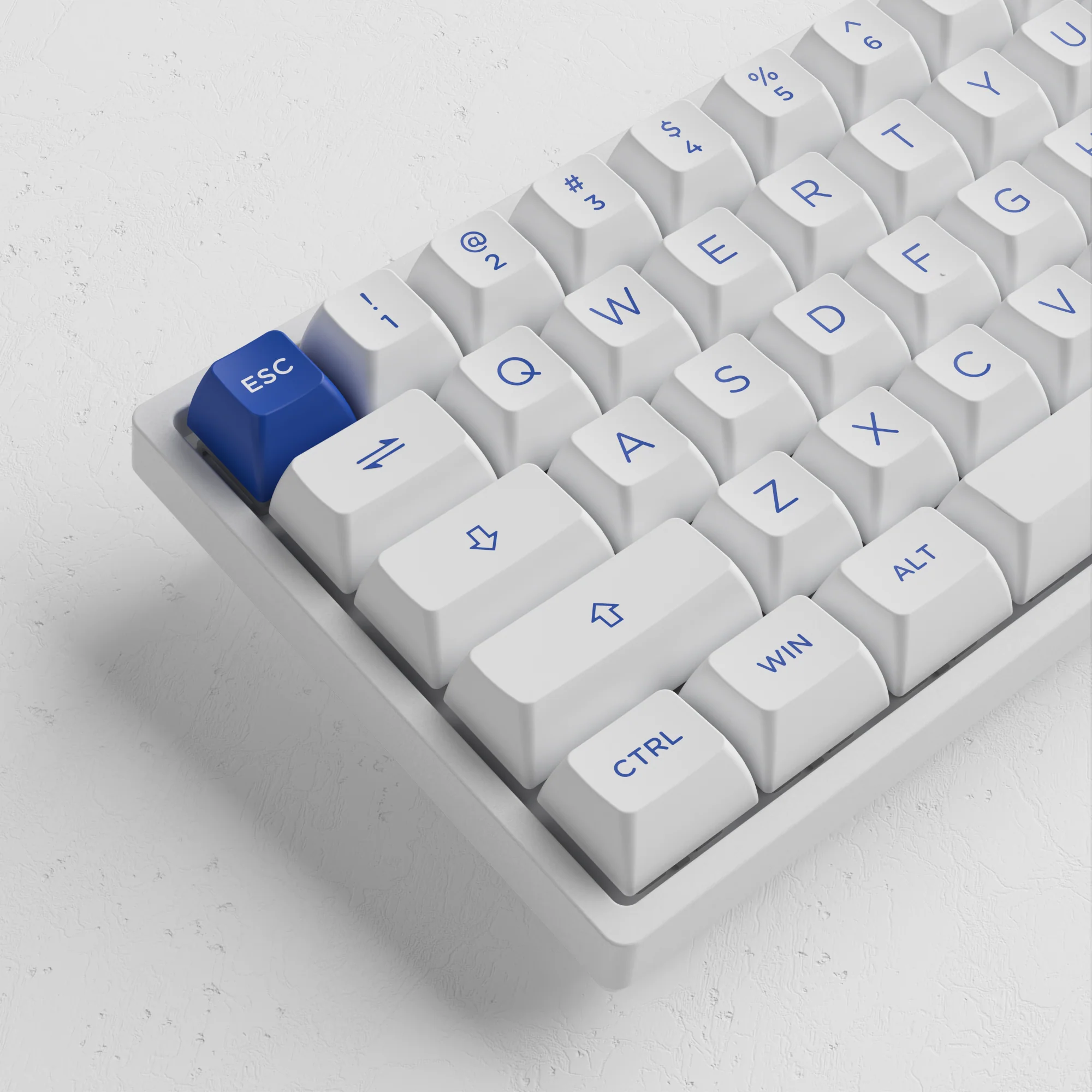 Blue on White 3068B Plus - Image 7