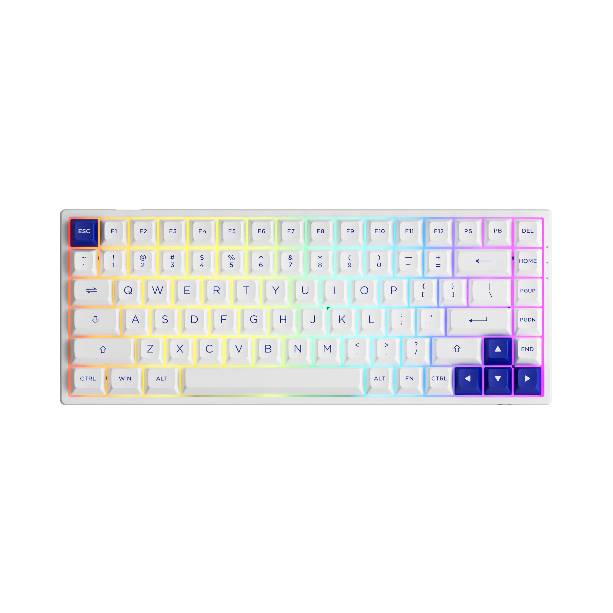 Blue on White 3084B Plus