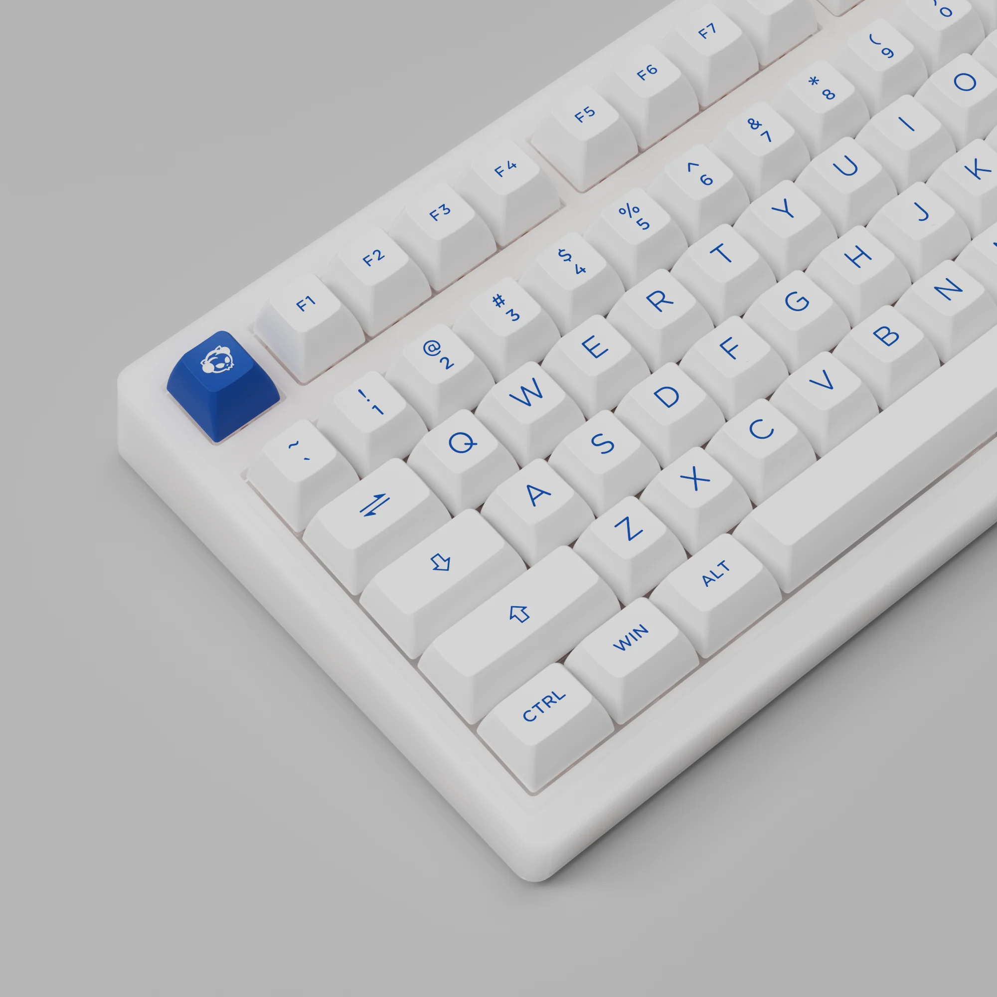 Blue On White PC75B Plus - Image 6