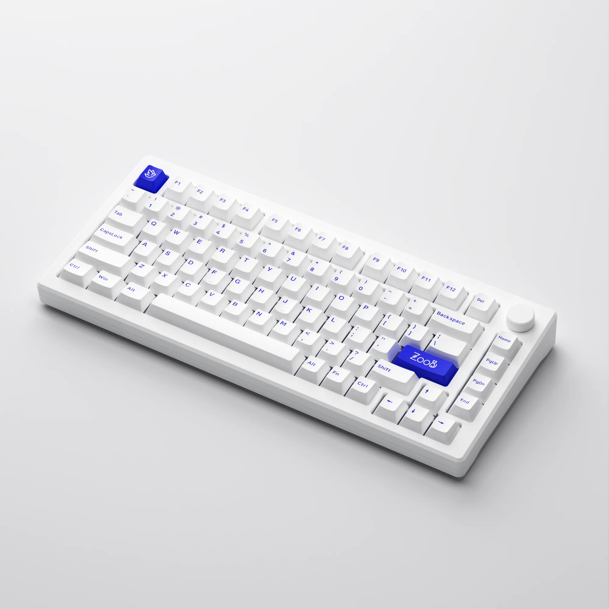 MOD 007B PC Blue on White - Image 4