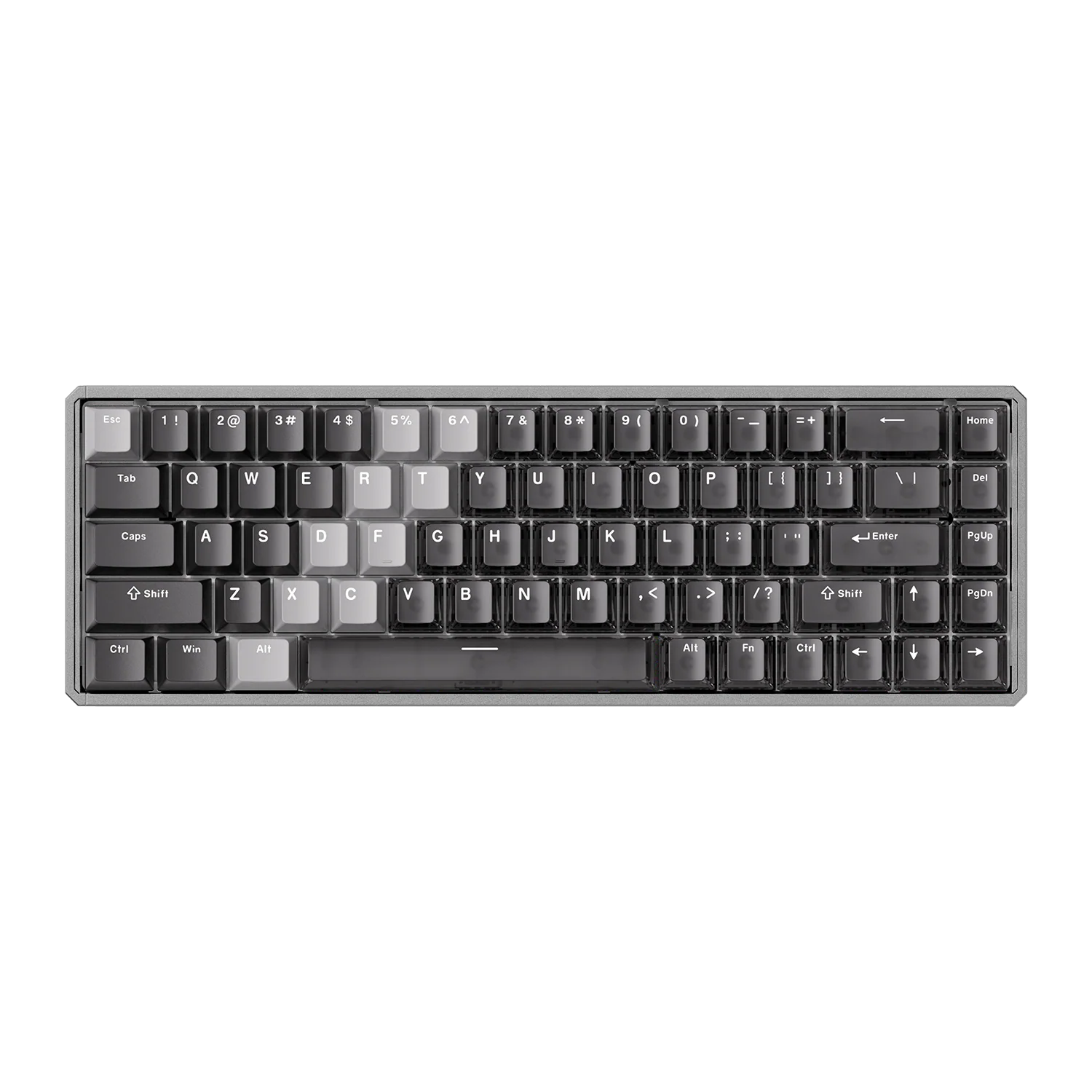 MOD68 HE -  Gradient Hybrid White Transparent - Image 20